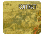 contact info